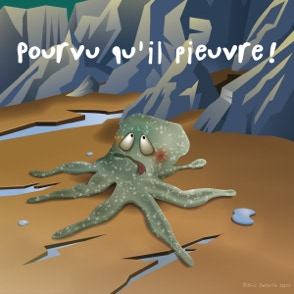 Pourvu qu’il pieuvre !