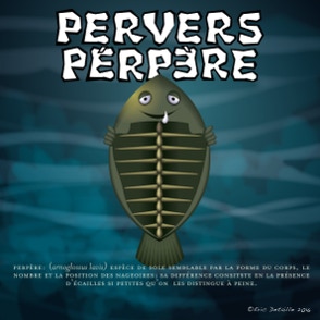 Pervers perpère