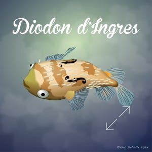 Diodon d'Ingres