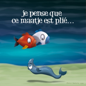 Je pense que ce maatje est plié - Match plié