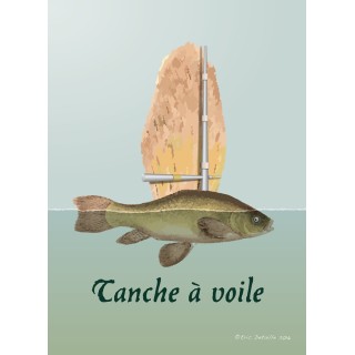 Carte postale Tanche à voile