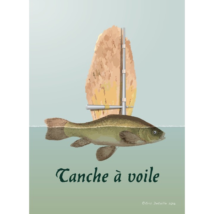 Carte postale Tanche à voile