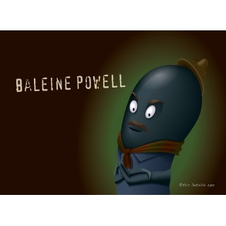 Carte postale Baleine Powell