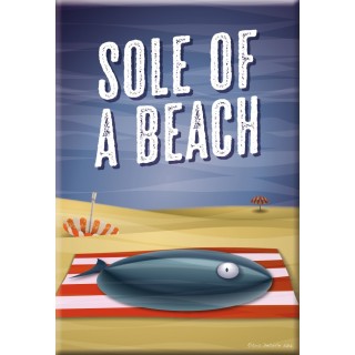 Magnet Sole of a beach