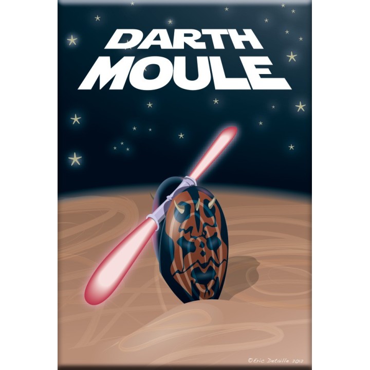 Magnet Darth moule