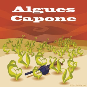 Algue Capone - Al Capone