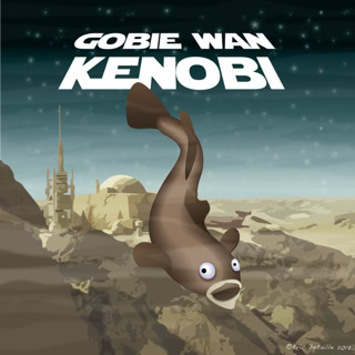 Gobie Wan Kenobi 