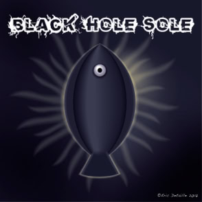 Black Hole Sole