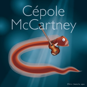 Cépole McCartney 
