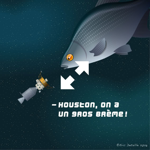 Houston, on a un gros brème