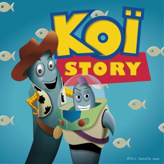 Koï Story
