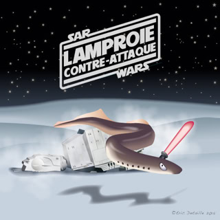 Lamproie contre-attaque