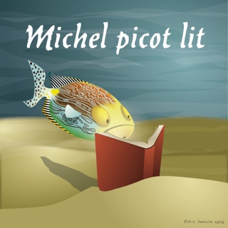 Michel picot lit
