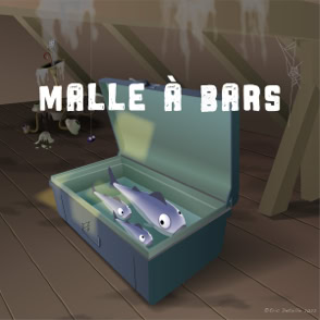 Malle à bars