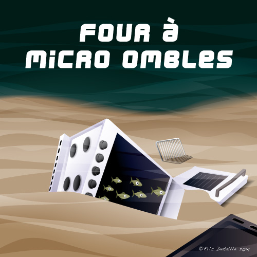 Four à micro-omble