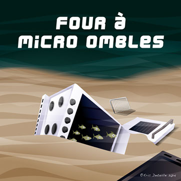 Four à micro-omble