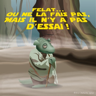Felat… ou ne la fait pas, mais il n’y a pas d’essai