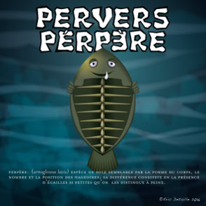 Pervers perpère