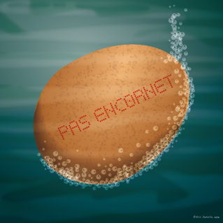 Pas encornet - Pas encore né