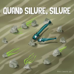 Quand silure, silure