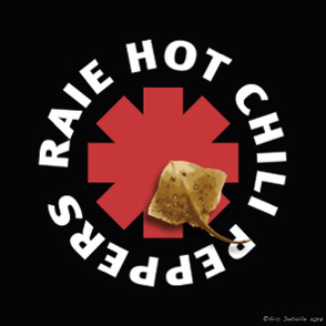 Raie hot chili peppers