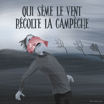 Qui sème le vent récolte la campèche
