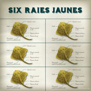 Six raies jaunes