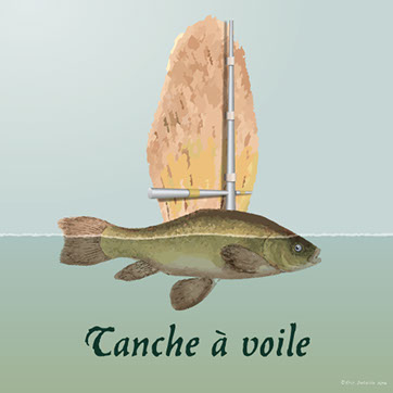 Tanche à voile