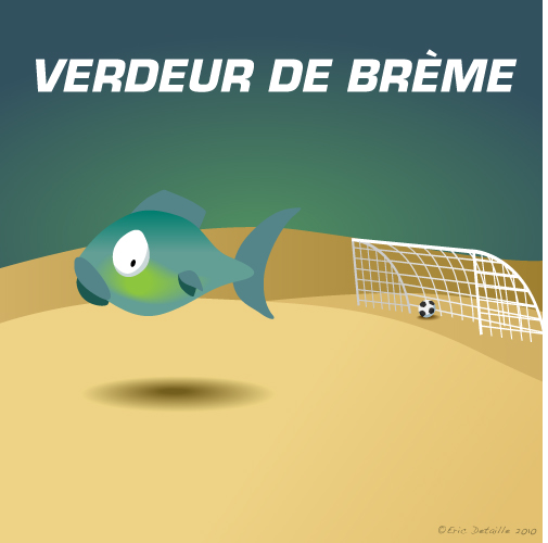 Verdeur de brème Verdeur de brème